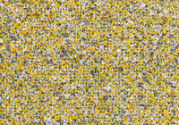 MS055