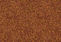 MS057