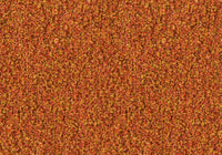 MS058