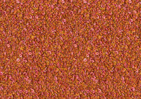 MS060