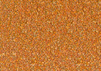 MS061
