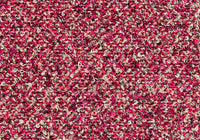 MS068