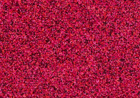 MS074