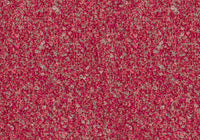 MS077
