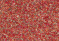 MS081