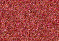 MS087