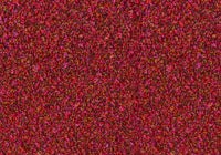 MS089