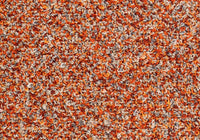 MS095