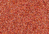 MS098