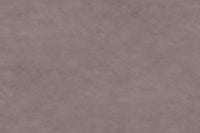 Burned Grey 40783