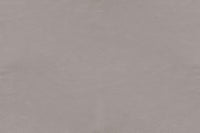 Light Grey 40782