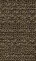 Path silt 111