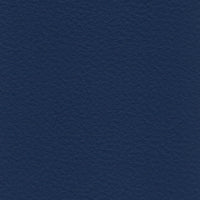 R806 col. bluette