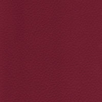 R807 col. bordeaux