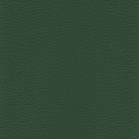 R817 col. verde