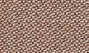 Perseo sienna 025