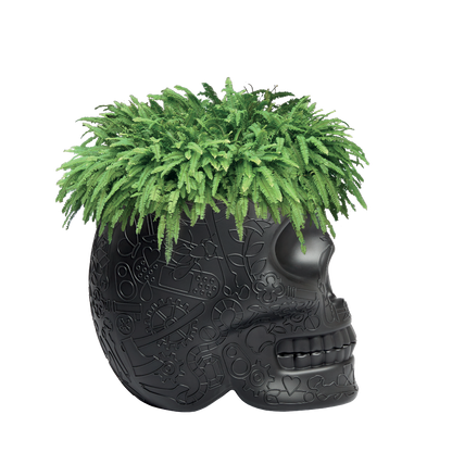 Mexico Planter and Champagne Cooler by Qeeboo #Black