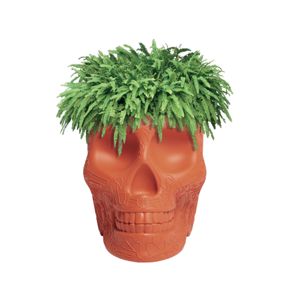 Mexico Planter and Champagne Cooler by Qeeboo #Terracotta