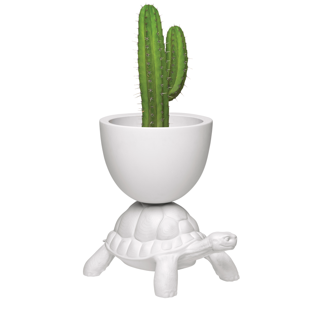 Turtle Carry Planter and Champagne Cooler by Qeeboo