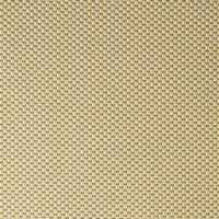 Drop 0421 Popcorn (A6890)