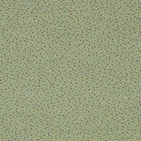 Sprinkles 0924 Parakeet (A8081)