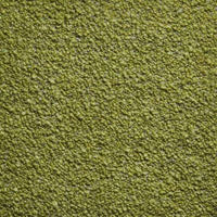 Orsetto 05/09 lime (A8598)