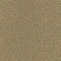Baru 330 champagne (A8659)