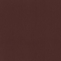 Leather Ritz (B0023)