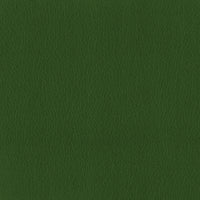 Leather Emerald (B0026)