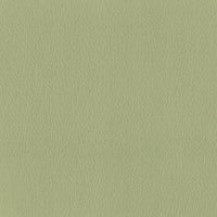 Leather Mint (B0027)