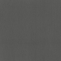 Leather Iron (B0030)