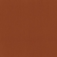 Leather Turmeric (B0032)