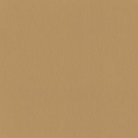 Leather Desert (B0034)