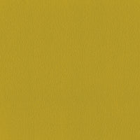 Leather Neon (B0035)