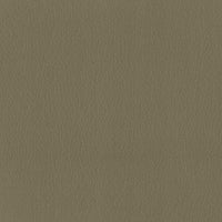 Leather Mastic (B0036)