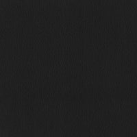 Leather Black (B0064)