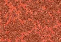 RSTB004