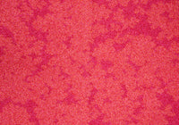 RSTB010