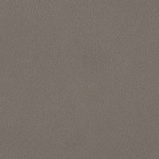 S95 - Tortora