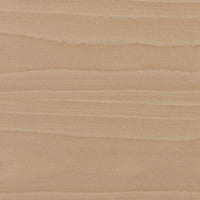 Beech