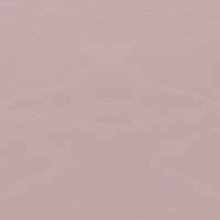 Pale Rose