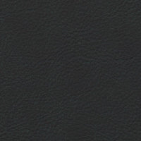Haze | Anthracite (HAANT)