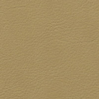 Haze | Beige (HABEI)