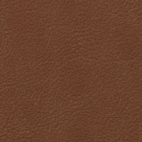 Haze | Walnut (HAWAL)