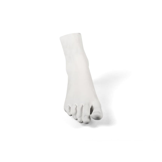 Porcelain Decorative Object Memorabilia Mvsevm Female Foot by Seletti