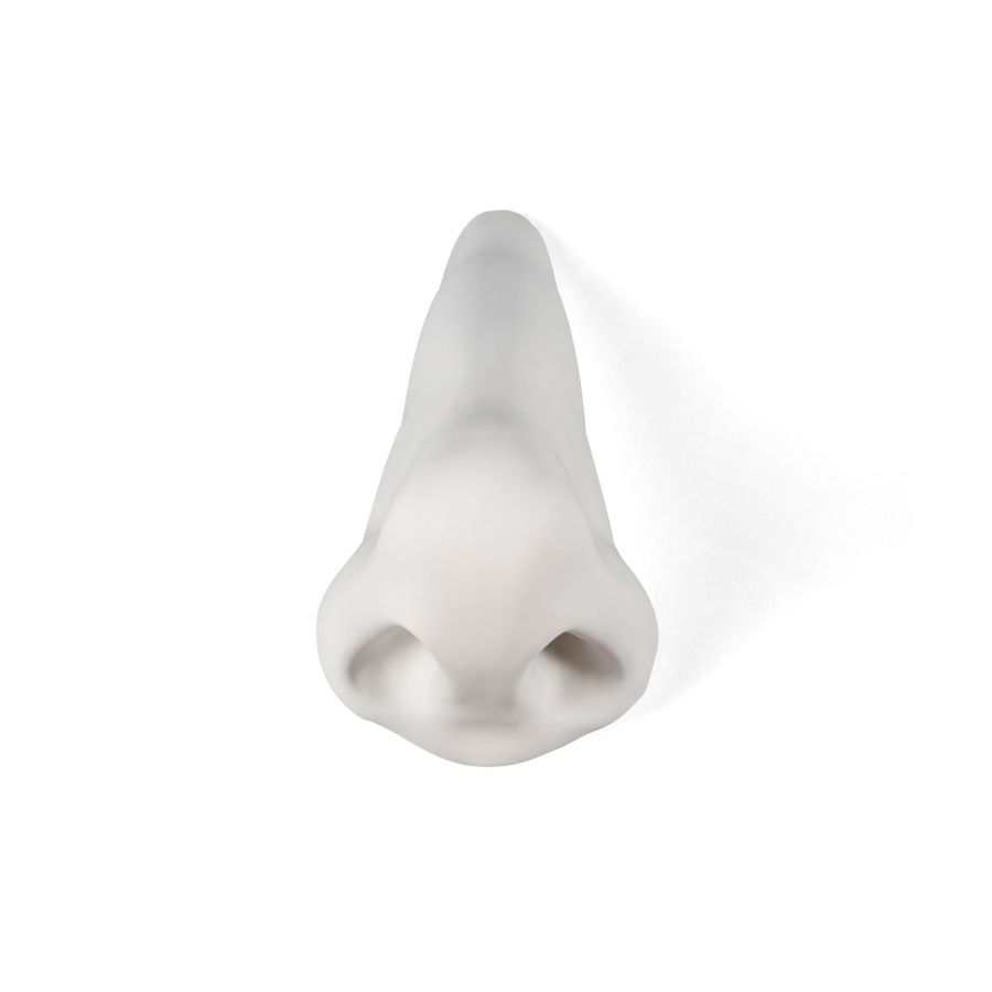 Porcelain Decorative Object Memorabilia Mvsevm Nose by Seletti