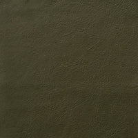 Trace 8146