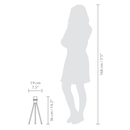 Size