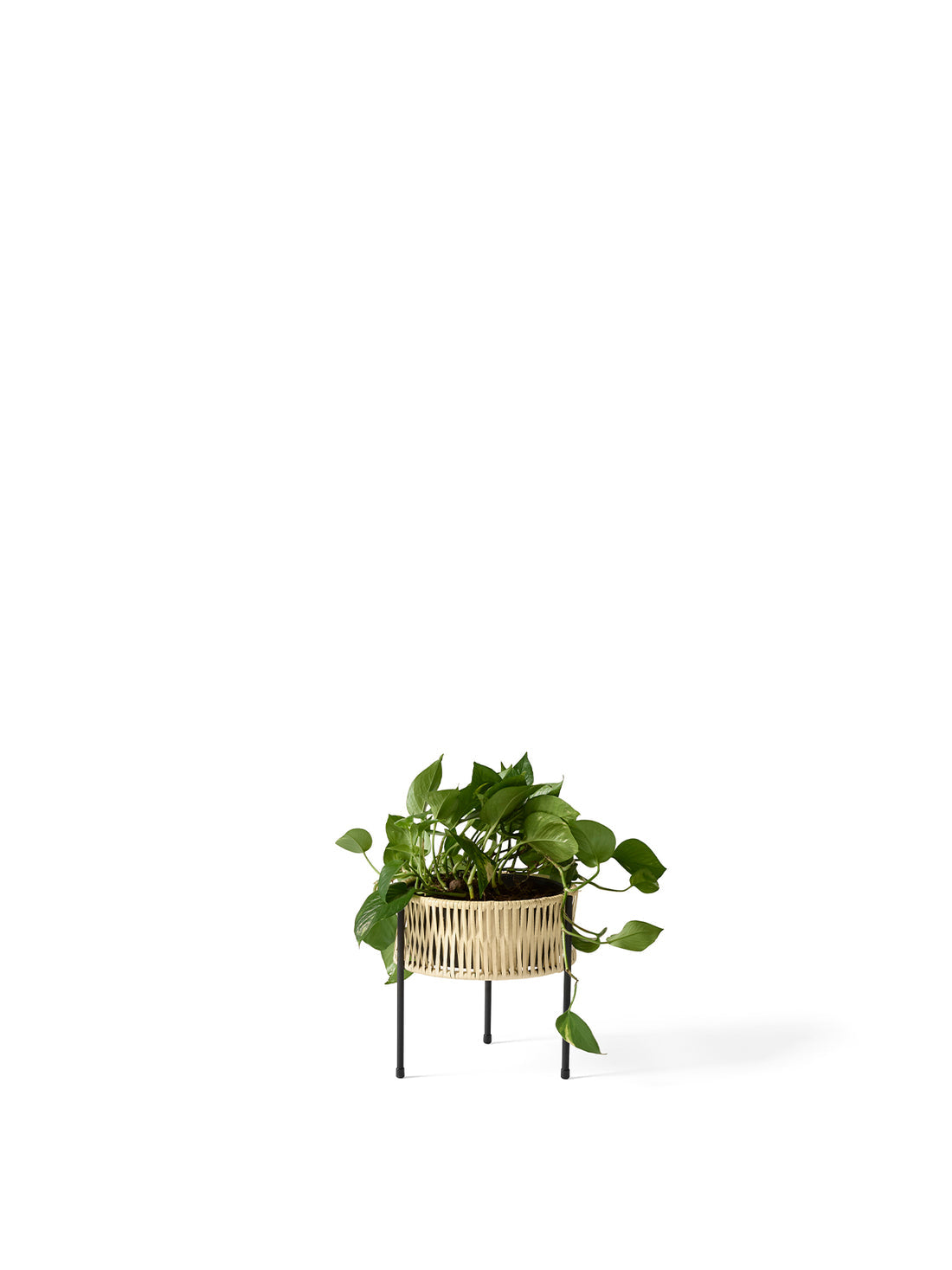 Umanoff Planter, 27 by Audo Copenhagen