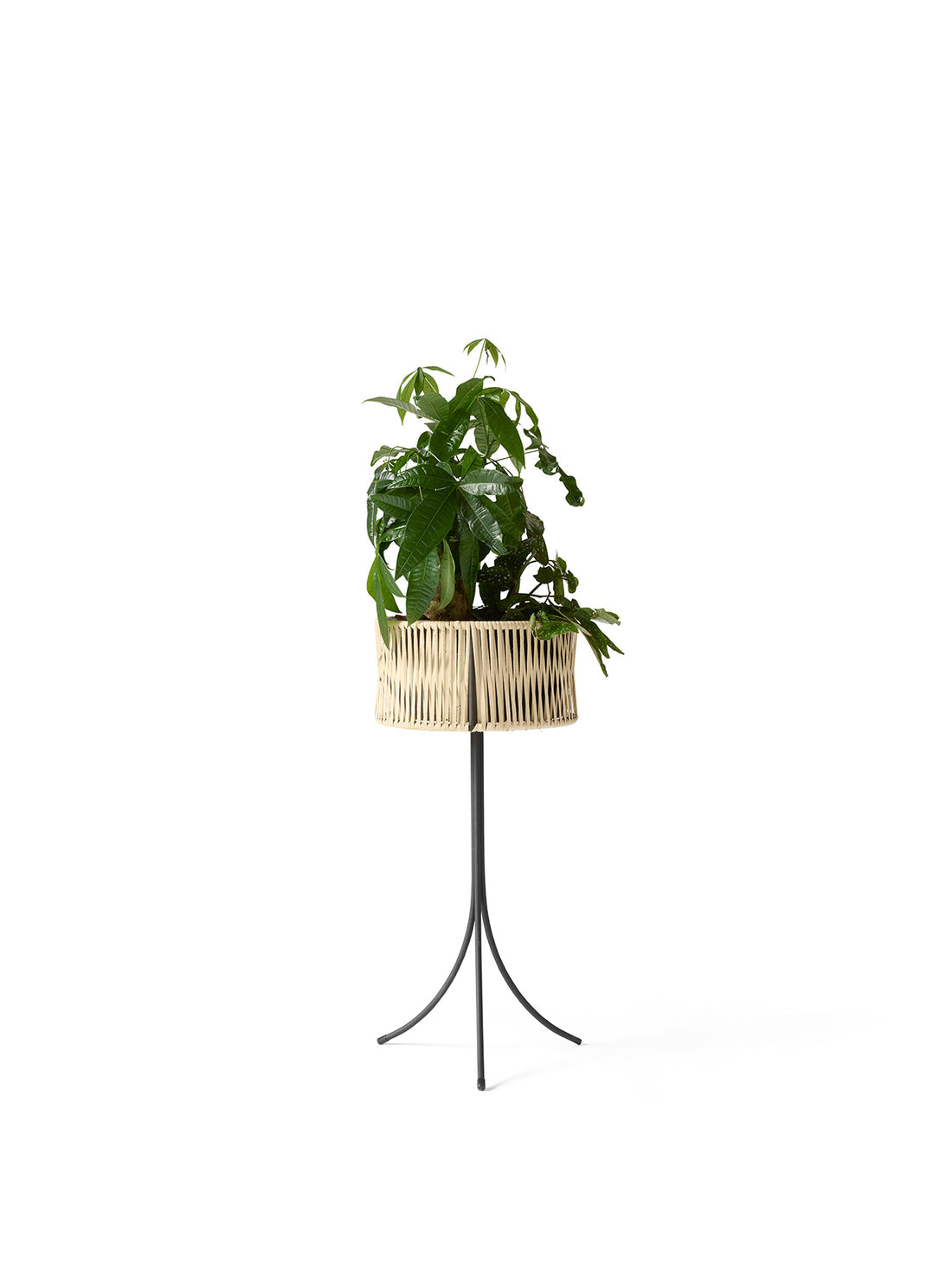 Umanoff Planter, 69 by Audo Copenhagen